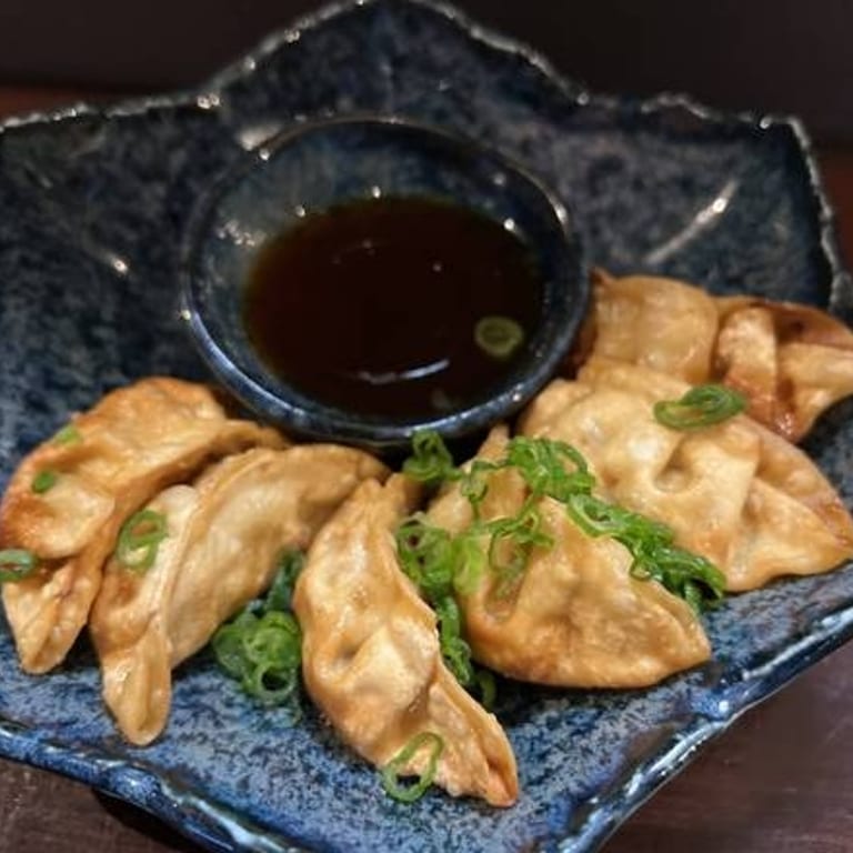 Savor Our Gyoza