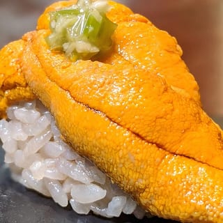 Sea Urchin (Santa Barbara Uni)