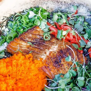 Salmon Donabe